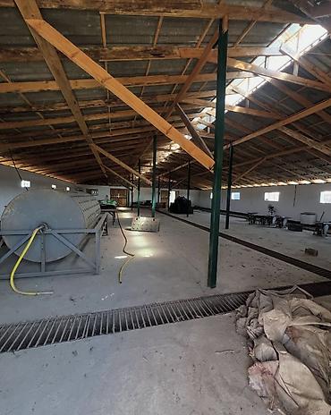 Продажа сельхоз предприятий: Кошара, 40 соток, Действующий, Частично с оборудованием, Электричество, Скважина, Холодная вода — 5