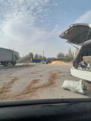 разделка рыбы: Кукуруза Оптом, Бесплатная доставка