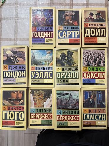 Книги Состояние идеальное (пометок не делал, читал 1 раз в