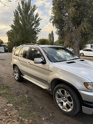 BMW: BMW X5: 2002 г., 3 л, Автомат, Бензин, Внедорожник — 3