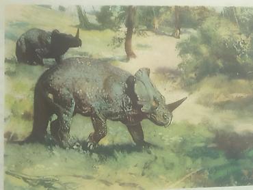 Ev üçün dekor: Məhsul: Dinozavr mövzusunda vintage illüstrasiya çapları dəsti — 5