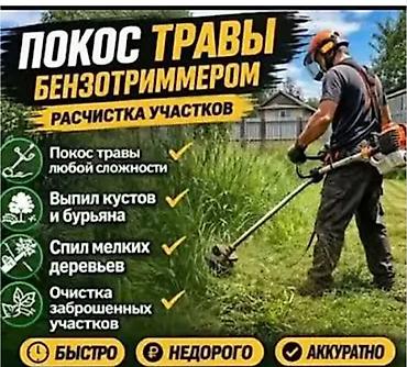 Уборка территории, Стрижка газона
