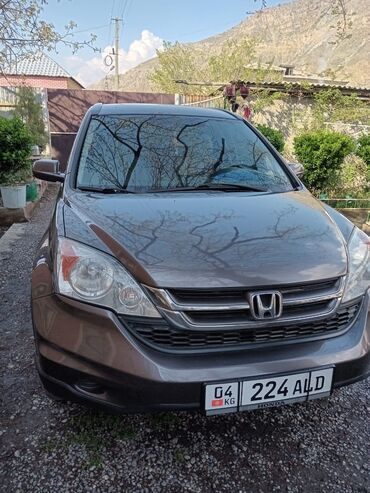 амортизатор на пассат: Honda CR-V: 2009 г., 2.4 л, Автомат, Бензин, Кроссовер