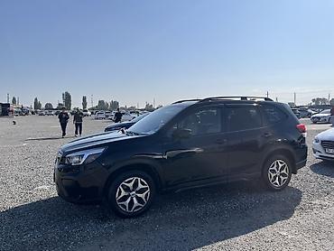 Subaru: Subaru Forester: 2020 г., Кроссовер — 5