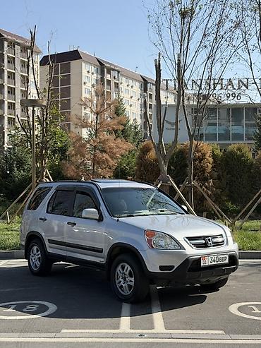 бу чехол: Honda CR-V: 2004 г., 2.4 л, Автомат, Бензин, Кроссовер — 3