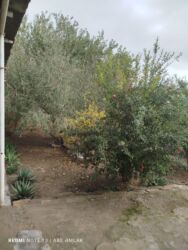 Həyət evləri və villaların satışı: 3 otaqlı, 160 kv. m, Kredit yoxdur, Orta təmir — 12