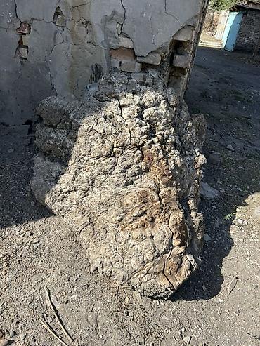 Отун сатылат:баасы-5000 (996)(225-465-807)-Байланыш номер Таш-Көмүр at lalafo.kg Отун сатылат:баасы-5000 (996)(225-465-807)-Байланыш номер Таш-Көмүр