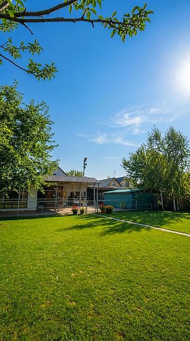 Продажа коттеджей и домов: 🏡 СРОЧНО ПРОДАЁТСЯ ДОМ В НОВОПАВЛОВКЕ! ТОП ЛОКАЦИЯ! 🔥 📍 Всего вторая — 8