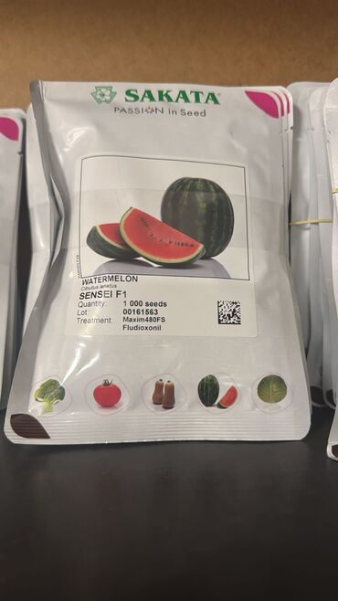 İstixanalar və parniklər: Şitil ücun qablarr qarpiz toxumlari uçun vathcapa yazn rayonlara — 20