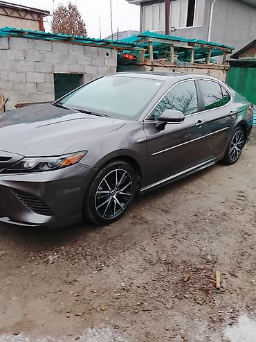 Другие автоуслуги: Детейлинг-услуги: защитные покрытия и восстановление глянца кузова - — 15