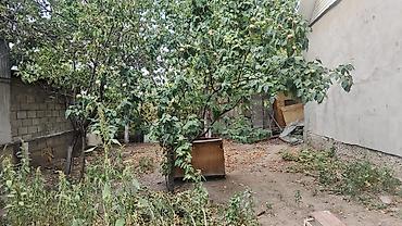 Продажа коттеджей и домов: 💎СРОЧНО ПРОДАЕТСЯ ДОМ 🏢Комнат: 3 📍Район: Ленинский район 🏘️Микрорайон — 10