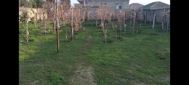 Torpaq sahələrinin satışı: 3 sot, Tikinti, Kupça (Çıxarış) — 4