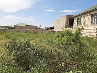 topaq: 3 sot, Kupça (Çıxarış) — 4