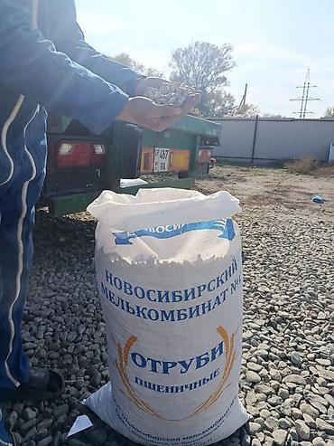 Айыл-чарба жаныбарлары: Пшеничные отруби в гранулах от Новосибирского мелькомбината №1 — 4
