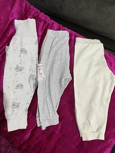 Боди: Боди — 24