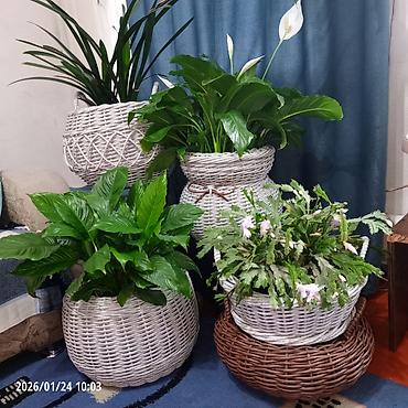 Горшки для растений: Плетёные вазоны для растений от 10-12 литров,в наличии и на заказ — 1