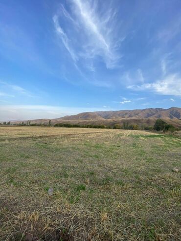 дом сокулук шопокова: 300 соток, Для бизнеса, Красная книга