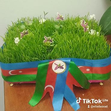 semeni dekoru: Novruz üçün bəzədilmiş səməni kompozisiyası - Səliqəli formada — 1