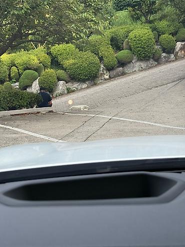 BMW: BMW 5 series: 2019 г., 2 л, Автомат, Бензин, Седан — 23