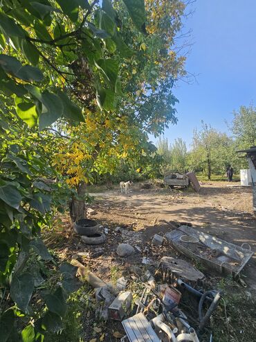 продажа земли сельскохозяйственного назначения: 6 соток, Курулуш, Кызыл китеп, Техпаспорт, Сатып алуу-сатуу келишими