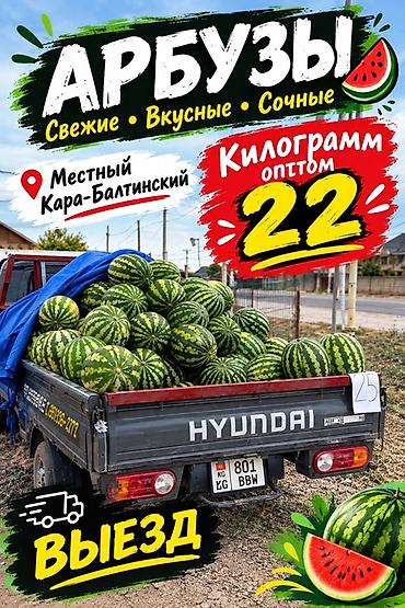 Азык-түлүктөр: Дарбыздар Дүң — 1