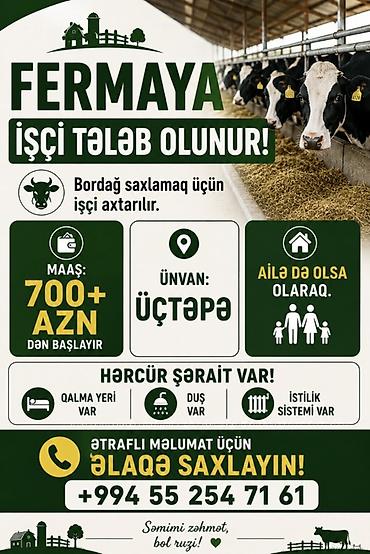 bag evine aile axtariram: Fermer, Kişi, 30 yaş, 5 ildən artıq təcrübə — 1