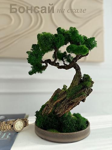 Декоративные цветы: Деревья-бонсай из натурального стабилизированного мха🌳 -это — 54