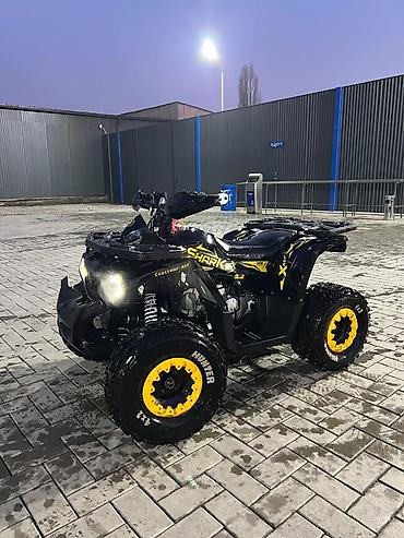 мото зонтик: Квадроцикл Бензин, 130 куб. см, Детский — 4