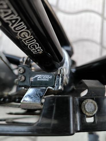 Городские велосипеды: Велосипед из Германии. Это модель "Prince Streetcoach" относится к — 12