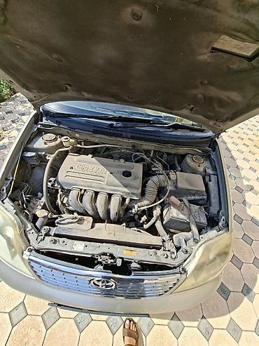 Toyota: Toyota Corolla: 2004 г., 1.8 л, Автомат, Бензин, Седан — 1