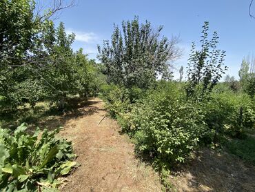 Продажа домов: Дом, 100 м², 5 комнат, Собственник, Косметический ремонт — 6