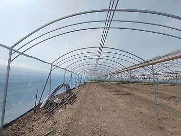 Теплицы: Тепличный комплекс каркасно-пленочного типа - Пролетная теплица с — 7