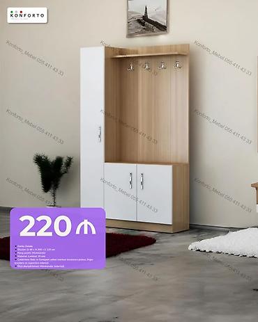 xalça sumqayit: Qonaq otağı/dəhliz üçün funksional asılqanlı dolab - Model: Dəhliz — 1