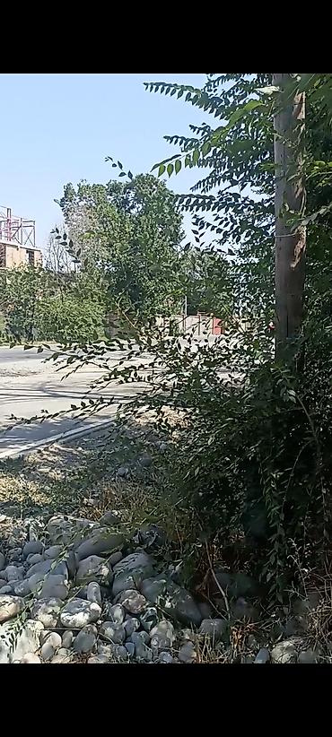 16 соток, Курулуш, Үлүштүк катыш келишими, Кызыл китеп, Техпаспорт — 2