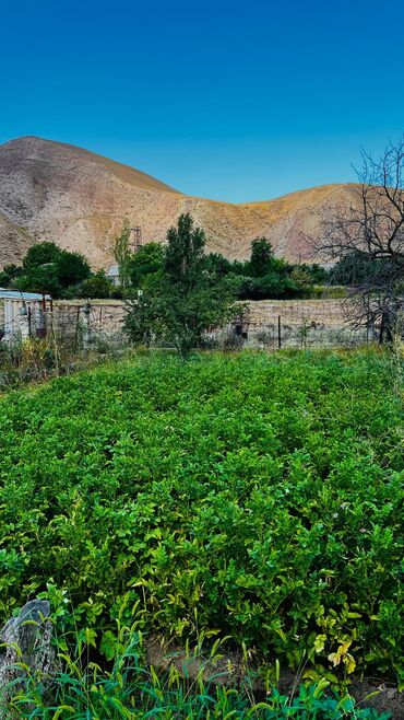 Продажа домов: Дача, 69 м², 5 комнат, Собственник, Старый ремонт — 19