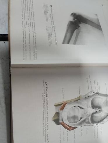 кники: Атлас анатомии человека, Р.Д. Синельников — комплект из 3 томов — 4