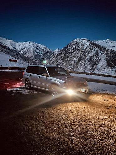 Subaru: Subaru Forester: 2004 г., 2 л, Автомат, Бензин, Универсал — 8