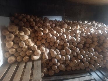 цена картошки на рынке: Продаю тыкву Матильда 20 сом . есть 30 тон