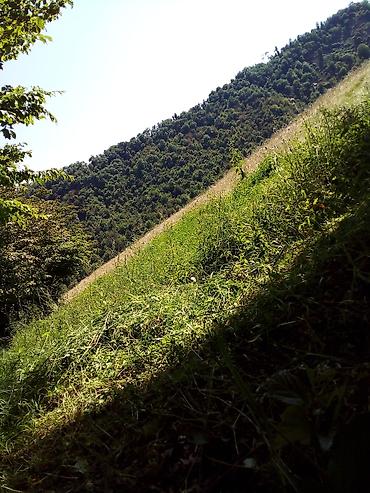 3 otaqlı kiraye evler: 4 otaqlı, 90 kv. m, Kredit yoxdur, Orta təmir — 4