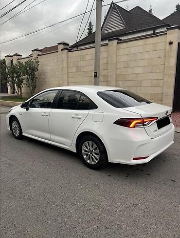 аренда автомобилей для такси: Сдаю Hyundai Elantra под такси, Долгосрочно, | Залог, Предоплата, Водительские права — 7