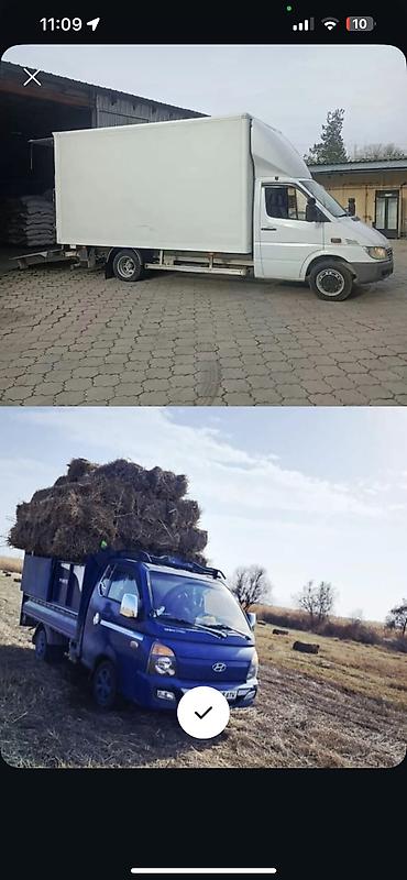 rex sprinter: Заказать Мерседес грузовой спринтер, Вывоз строй мусора, C грузчиком — 1