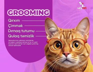 Daşıma çantaları: Heyvanlar üçün peşəkar qulluq xidmətləri, o cümlədən qırxım, çimmək