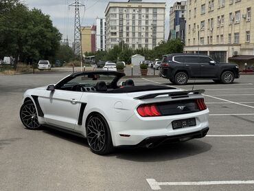 Ford: Ford Mustang: 2020 г., 2.3 л, Автомат, Бензин, Кабриолет