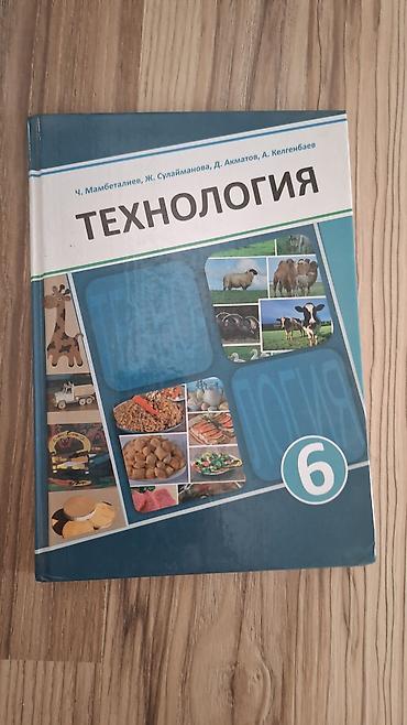 Учебник “Технология”, 6 класс. Авторы: Ч. Мамбеталиев, Ж