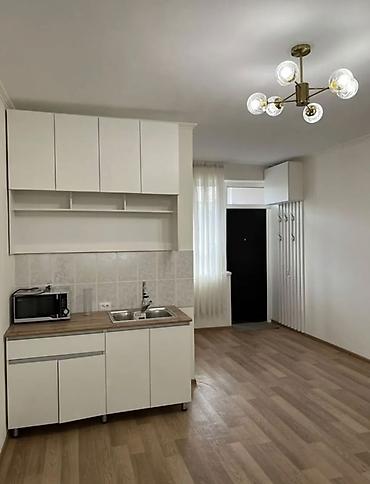 Продажа квартир: 1 комната, 24 м², Малосемейка, 3 этаж, Евроремонт — 9