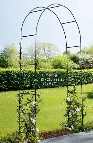 seme dipladenije: LIVARNO Home – Metalni luk za ruže (Rose Arch) - Dekorativan vrtni — 2