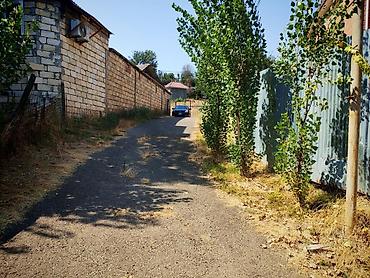 Hazır biznes: 🔥 TƏCİLİ SATILIR – HAZIR ÇÖRƏK DAĞITIM BİZNESİ + 10 SOT TORPAQ — 9