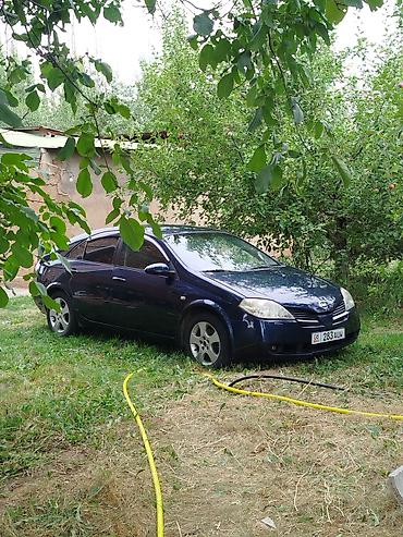 sprinter 315: Nissan Primera: 2002 г., 2 л, Механика, Бензин, Седан — 1