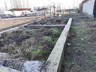 Долгосрочная аренда домов: Продаётся 2 жилых дома на одном участке в Петропавловке ул Фрунзе — 21