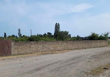 balaxanida torpaq: 7 sot, Tikinti, Mülkiyyətçi, Kupça (Çıxarış) — 5